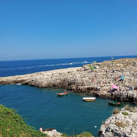 Casafanfara *